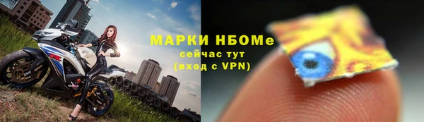 прущие грибы Алзамай