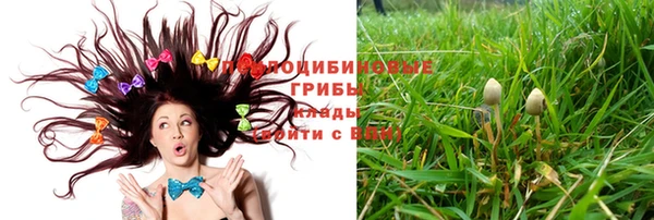 винт Алексин