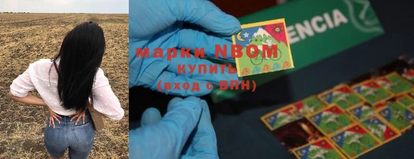 прущие грибы Алзамай