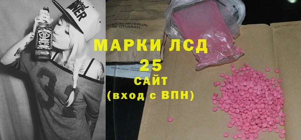 прущие грибы Алзамай