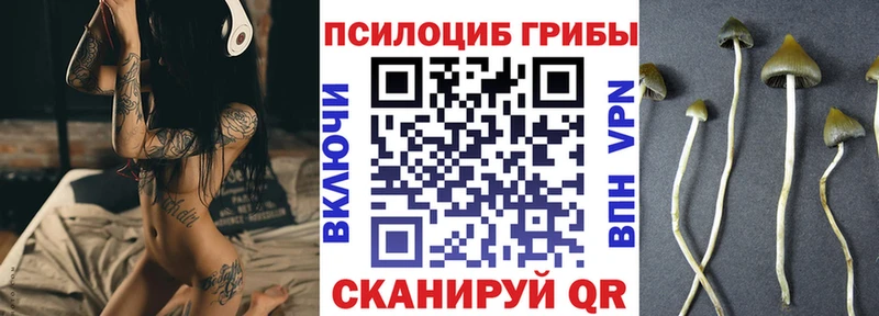 Галлюциногенные грибы Cubensis  Павловская 